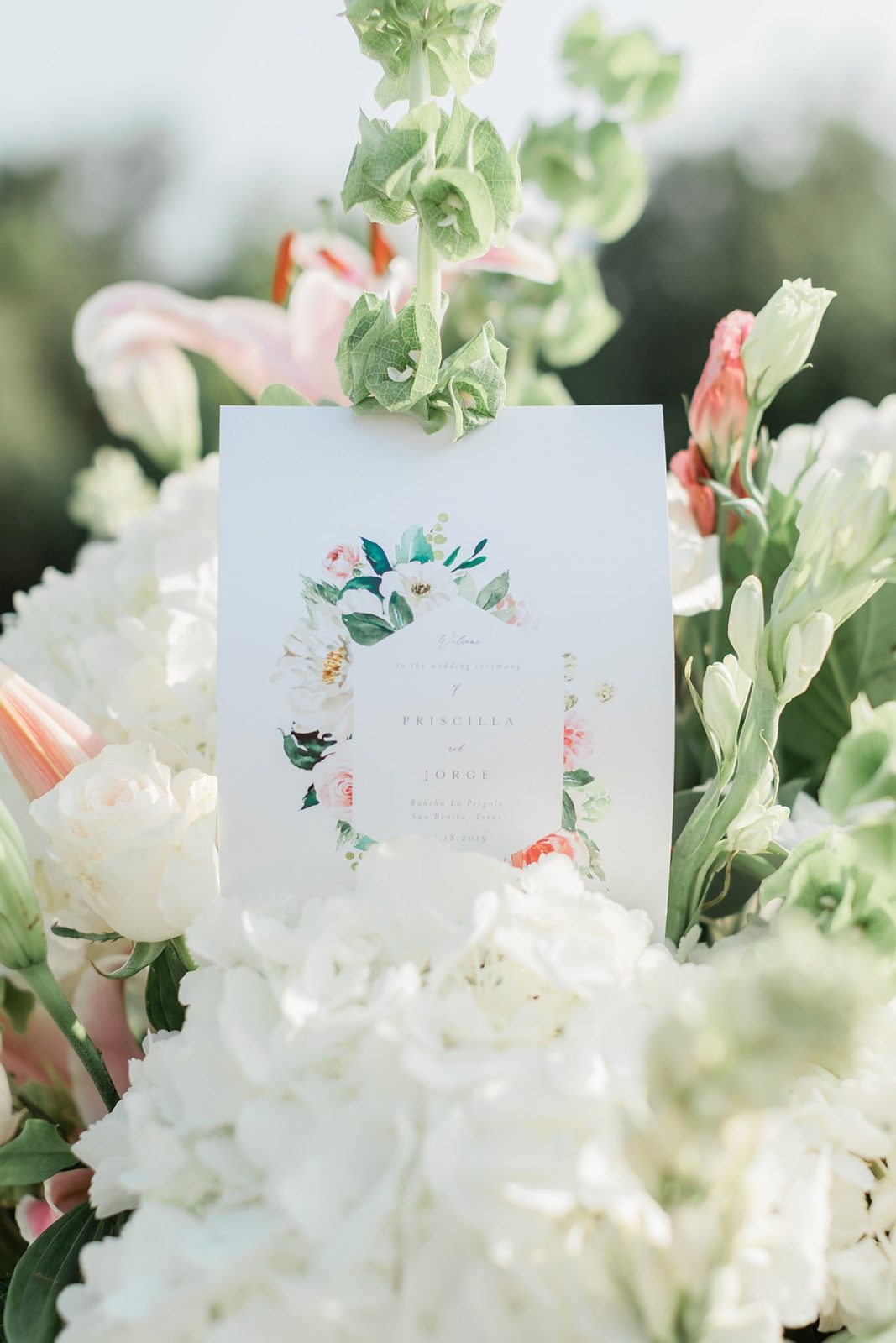 Hydrangea ceremony flowers, Texas Wedding, Anna Kay Photography, Wedding Photographer