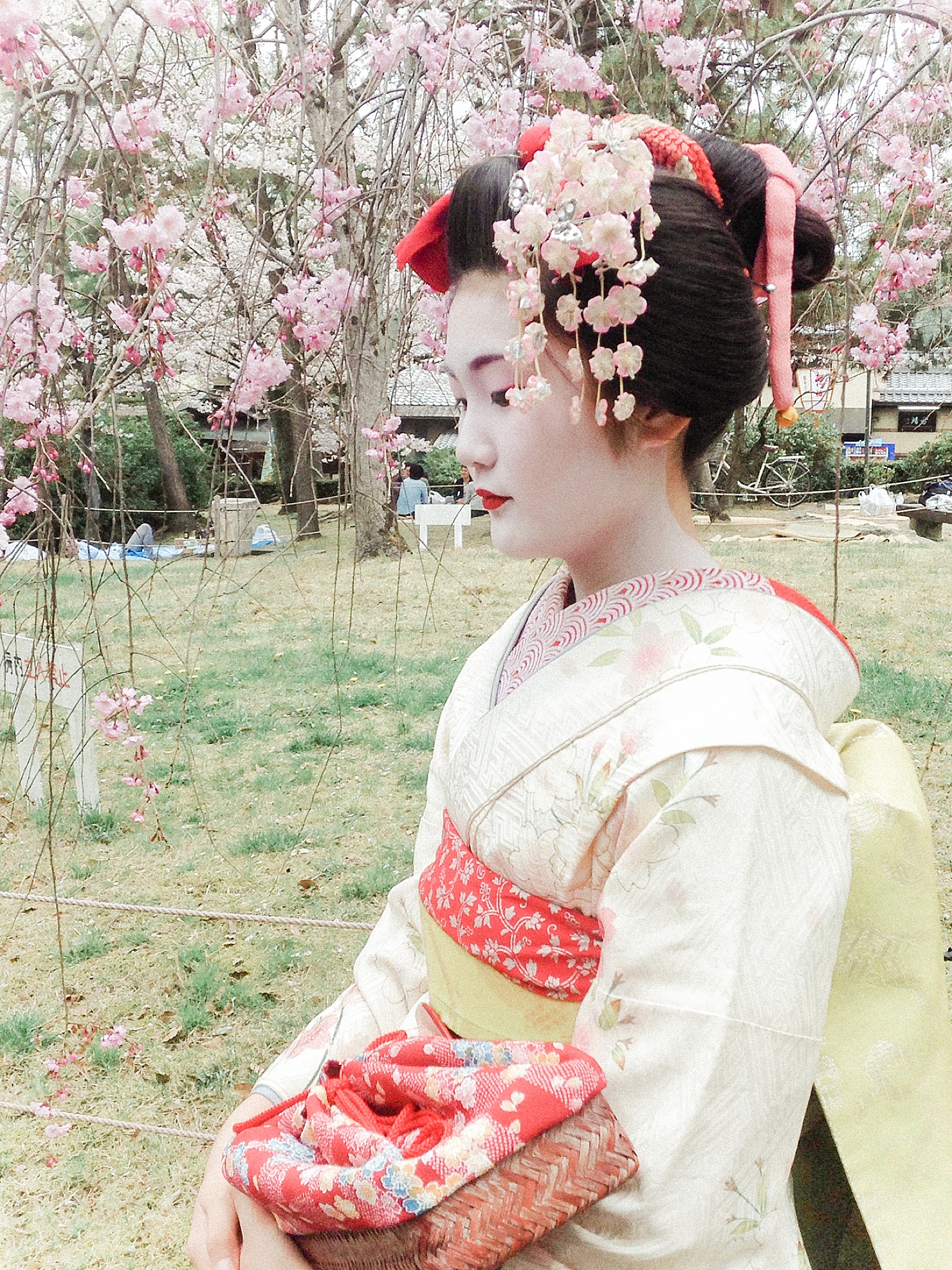 Geisha in Cherry Blossoms, Miyajima, Anna Kay Photography, Tokyo Destination Photographer