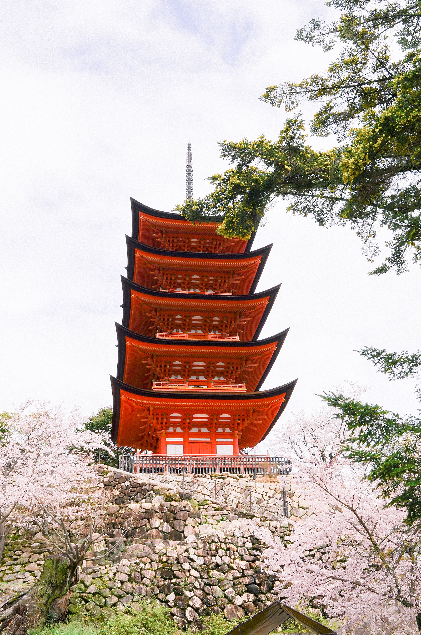 Five Story Pagoda, Mijajima, Hiroshima, Anna Kay Photography, Tokyo Destination Photographer