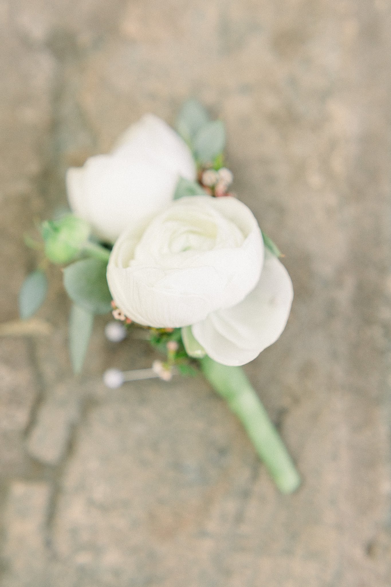 White Ranunculus Boutonniere, Austin Wedding Photographer, Anna Kay Photography