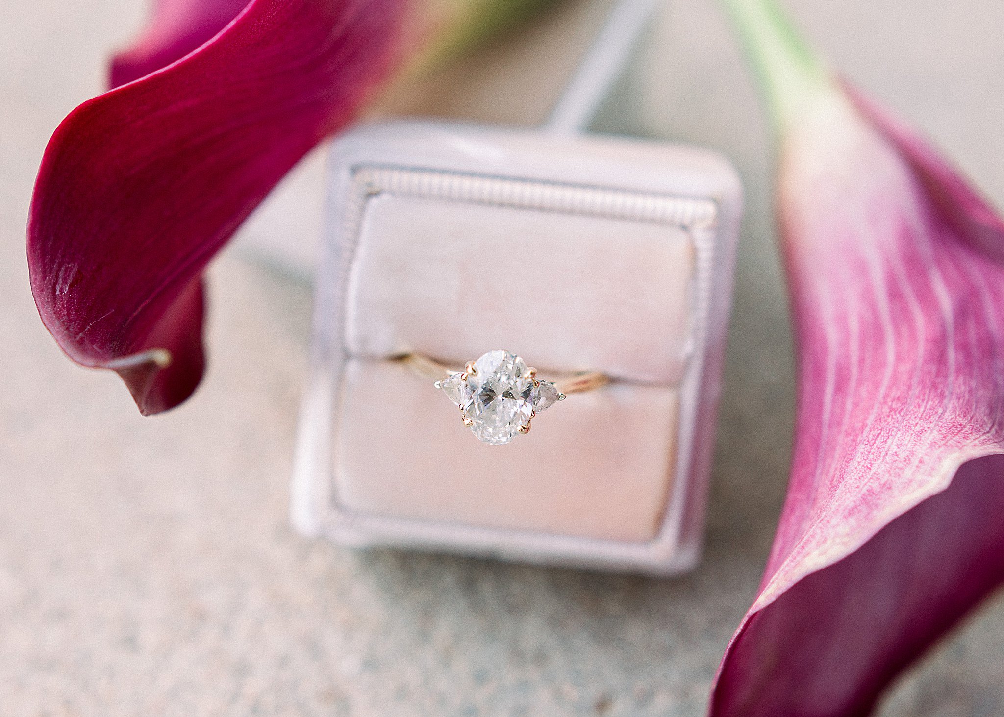Oval Engagement Ring in Blush Velvet Ring Box, Anna Kay Photography, Austin Engagement Photographer