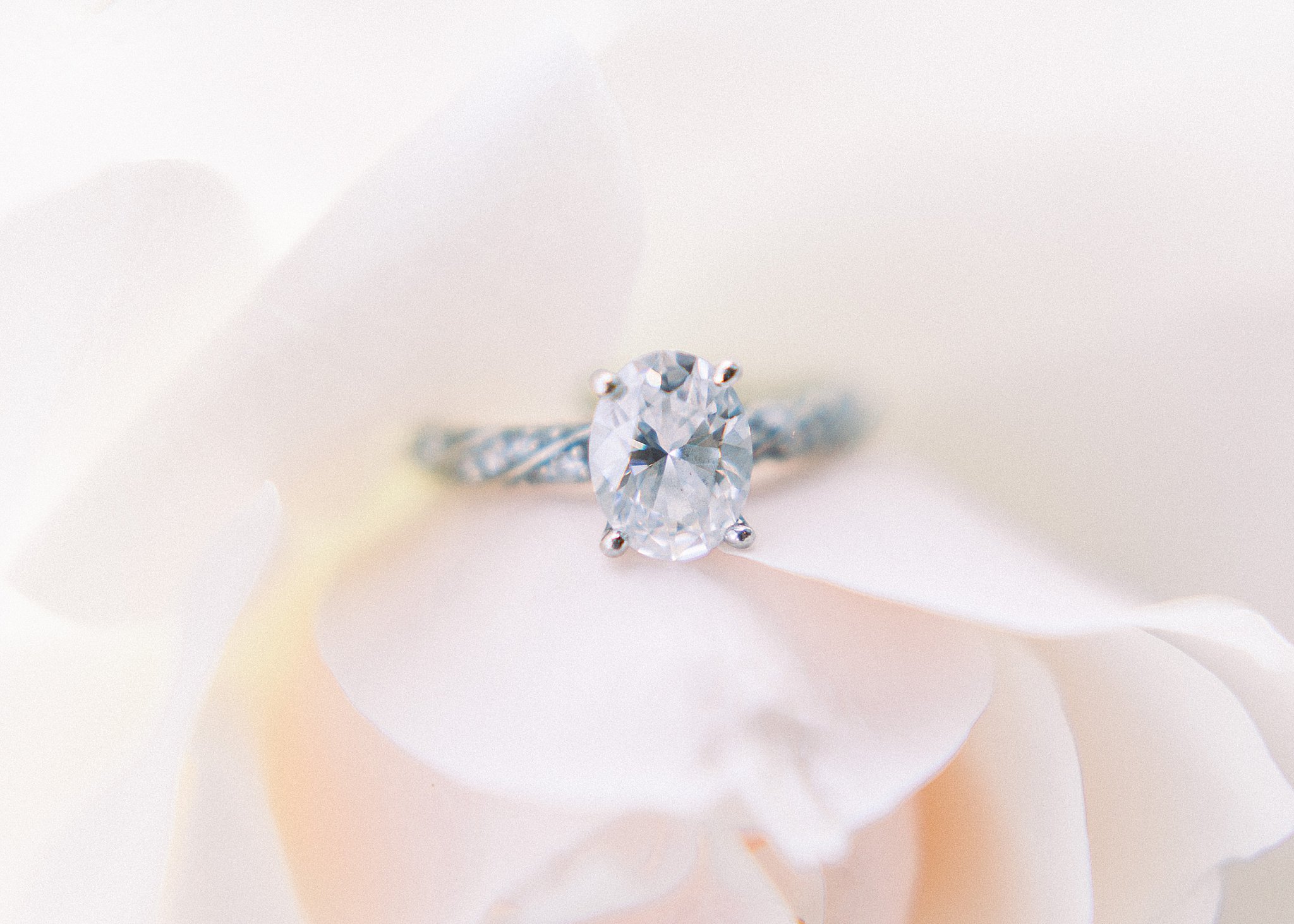 Oval Engagement Ring, Anna Kay Photography, Austin Wedding Photographer